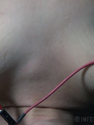 The Farm: Pt 2 Tortured Sole, pic #12